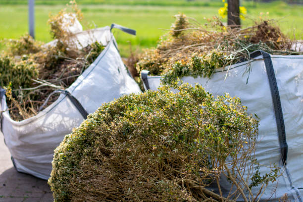 Best Construction Debris Removal  in Louisville, NE
