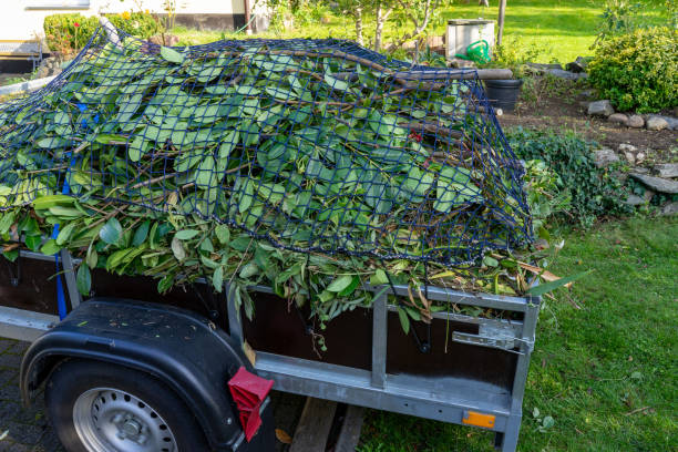 Best Carpet Removal and Disposal  in Louisville, NE
